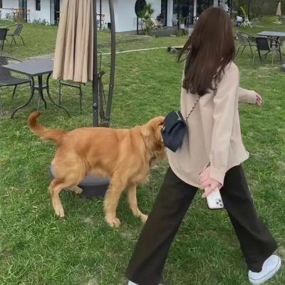厄运临头 在线观看