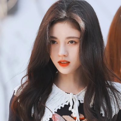 好莱坞狗日子 在线观看